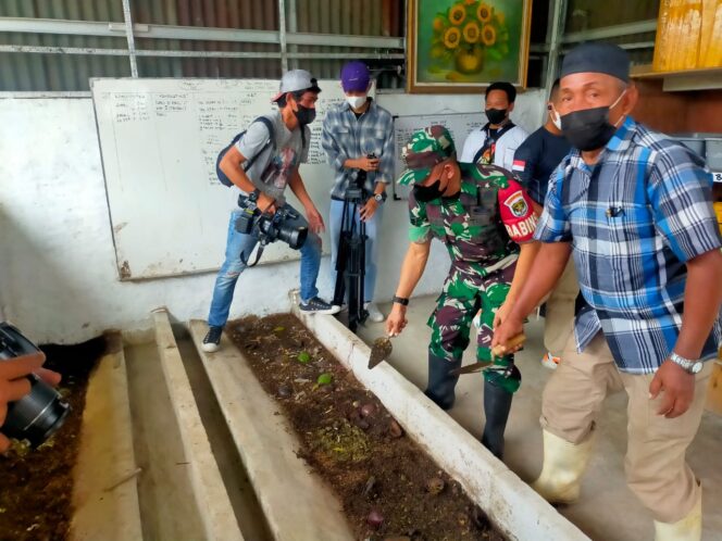 
 Babinsa Koramil04 Cengkareng Bantu Usaha Pembudidayaan Maggot dan Budidaya Lele di Kampung Pancasila