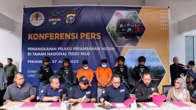 
 KLHK Kembali Tangkap Dua Pelaku Perambah Hutan Taman Nasional Tesso Nilo