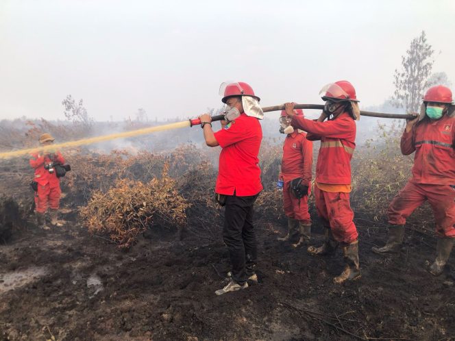 
 Manggala Agni Terus Berjuang Padamkan Empat Titik Karhutla di Sumsel