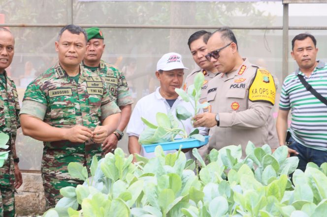 
 Urban Farming Green House Rusunawa Marunda