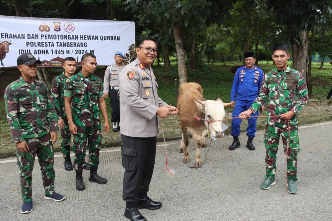 
 Polresta Tangerang Salurkan Bantuan Hewan Kurban, 18 Ekor Sapi dan 49 Kambing