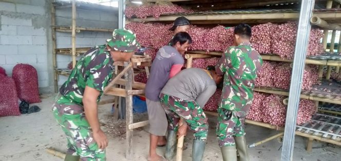 
 Penyiapan Bibit Bawang di Lahan Urban Farming Korem 051/Wkt, Wanajaya, Cibitung