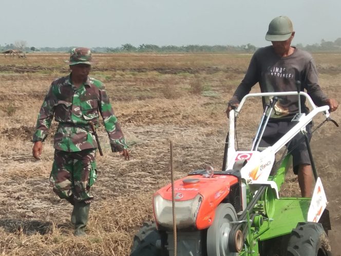 
 Sinergi Korem 051/Wkt dan Kelompok Tani, Siapkan 50 Hektare Lahan Jagung untuk Ketahanan Pangan di Bekasi