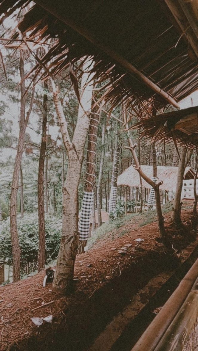 
 Warung KebunQu: Tempat Liburan Keluarga dengan Beragam Aktivitas Seru di Sentul