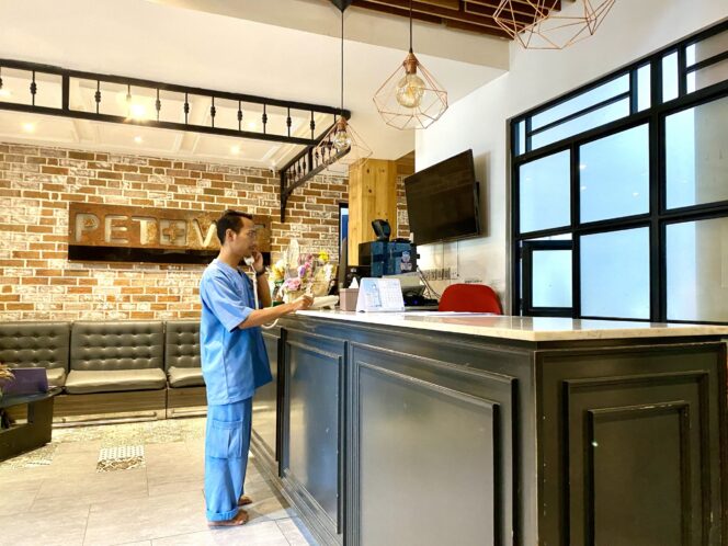 
 Tren Penitipan Pawkids Meningkat Jelang Ramadan, Klinik dengan Kolam Renang Jadi Incaran Orang Tua Hewan
