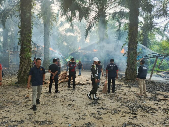 
 Arena Judi Sabung Ayam di Pancur Batu Digerebek, Denpom I/5 Medan Turun Tangan