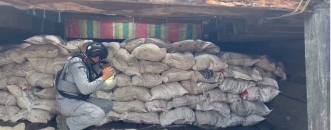 
 Selundupkan 400 Karung Bawang Merah Tanpa Dokumen, Kapal KM Sinar Bahtera Diamankan Bakamla RI!