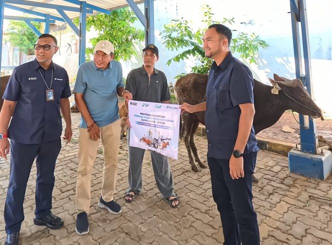 
 Melalui Program CSR Pelindo Regional 2 Sunda Kelapa Salurkan 6 Sapi Hewan Qurban